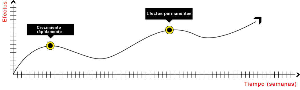 Gráfico de resultados de la investigación de Mass Extreme.